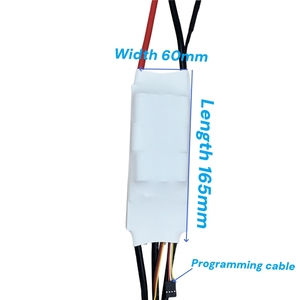 Controlador Electrónico de Velocidad (ESC) Flier Bldc 320A 50Hz 1-2ms Señal PWM R/C Marino Escala 1:5 Protección IP54 Salida 19KW - Product Image 5