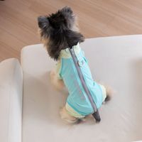 Vêtements de sport pour chien en polyester imperméable, respirant et réfléchissant, idéal pour l'hiver et les sorties en parc – Collection Luxe – Offre Spéciale
