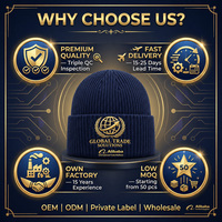 Gorros de Punto Ligeros con Logotipo Personalizado, MOQ Bajo, para Programas de Regalos Corporativos, Clásicos y Modernos