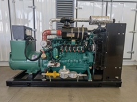 Comepower 250kW 320kVA Tiga Fasa 480V 60Hz Generator Set Gas Alam Tipe Kedap Suara dengan Auto-Start yang Dapat Disesuaikan untuk Penggunaan Industri