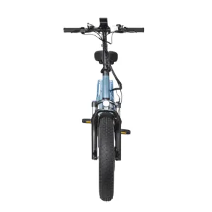 DYU fatbike 500w 750w ebike e 지방 타이어 전기 자전거 자전거 지방 자전거 전기 먼지 자전거 성인 오토바이