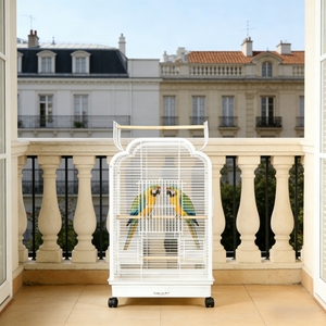 Cage à <span class=keywords><strong>oiseaux</strong></span> personnalisable, nouveau style, cage à pigeons, cage à perroquets, jaulas para pájaros, qualité supérieure, grandes cages à <span class=keywords><strong>oiseaux</strong></span>, <span class=keywords><strong>volière</strong></span> pour <span class=keywords><strong>oiseaux</strong></span> - Product Image 5