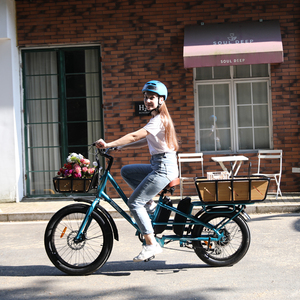 Vélo de fabrication chinoise avec deux batteries, moteur sans balais, pneus larges, système de freinage à disque, cadre en aluminium, double batterie, fabrication chinoise C - Product Image 1