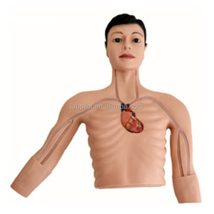 Mô phỏng can thiệp picc đặt ống thông trung tâm ngoại vi mô phỏng giảng dạy đâm thủng tĩnh mạch - Product Image 2