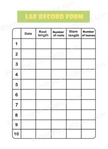 Jouets scientifiques éducatifs en plastique à faire soi-même pour enfants, jouets STEM pour <span class=keywords><strong>l</strong></span>'expérimentation <span class=keywords><strong>de</strong></span> culture <span class=keywords><strong>de</strong></span> graines <span class=keywords><strong>de</strong></span> plantes, livrés pour enfants - Product Image 5