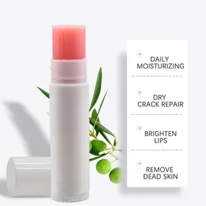 Hot Sale Lippen feuchtigkeit spendende Lippen balsam Bio Private Label kein Logo Lippen balsam Stick benutzer definierte