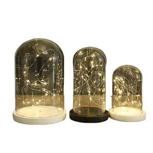 Bell Jar Small Glass Dome with Wood base \\ Taxidermy Glass Butterfly Dome \\ Display Tall Decorative Clear