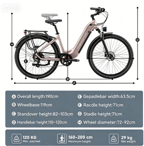 Bicicleta Eléctrica Urbana para Reparto de Comida desde Almacén en la UE, Ebike 36V 250W, Bicicleta Eléctrica para Mujer, Ebike Híbrida con Torque - Product Image 6
