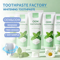 Dentifrice certifié Halal, marque privée, haleine fraîche, anti-caries, vente en gros, logo personnalisé