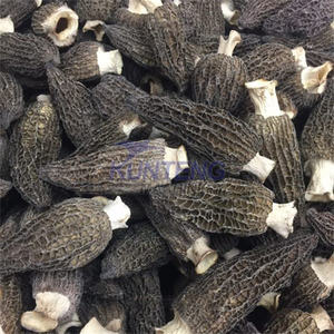 Machine de séchage de champignons <span class=keywords><strong>comestibles</strong></span> personnalisable Chanterelle Porcini Machine de séchage Ceinture en maille Ligne de production de séchage continu - Product Image 4