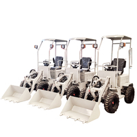 CE-geprüfter China Mini Radlader Hoflader DM05 0,5-Tonnen Kompakter Landwirtschaftlicher Radlader mit Schaufel