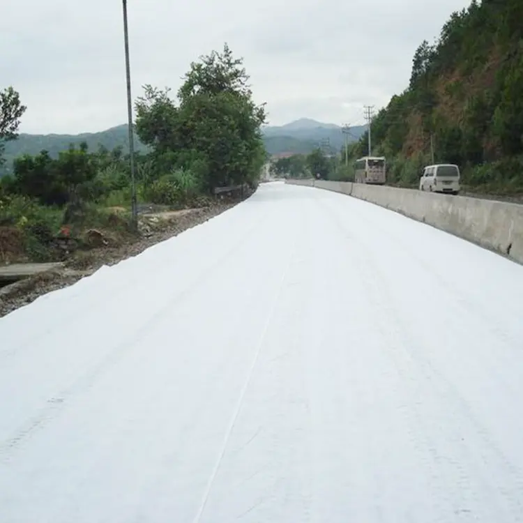 섬유 Geo 섬유 Geotextile 천 포장 필터 직물 롤 가격