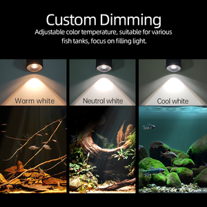 Focos Sumergibles para Acuario WEEK AQUA Mini7Pro-F LED, Enfoque Ajustable, Atenuación COB 6500k, Atenuable, IP68, <span class=keywords><strong>Foco</strong></span> para Pecera - Product Image 2