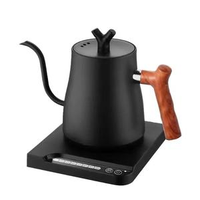 Bouilloire électrique intelligente à température constante en acier inoxydable et PVC, écologique, style américain, col de cygne, avec contrôle multi-températures