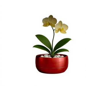 Pot de fleurs rond en métal rouge pour la plantation d'orchidées sur bureau avec des galets blancs - Product Image 1