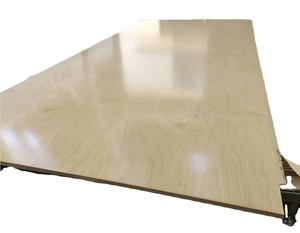 Pannello di <span class=keywords><strong>Compensato</strong></span> Cinese 4x8 / 12 <span class=keywords><strong>mm</strong></span> in Betulla Russa Baltica con Rivestimento UV per Mobili, Prezzo all'Ingrosso - Product Image 1