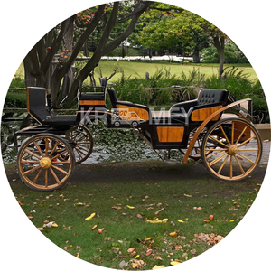 European Sightseeing Electric Wedding Scenic Reception Carriage Cinderella Pumpkin Romantic Travel Wedding Carriage - Product Image 2