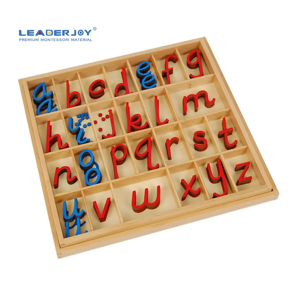 LeaderJoy التعليم المبكر ألعاب خشبية المنقولة الحروف الهجائية ألعاب مونتيسوري المواد