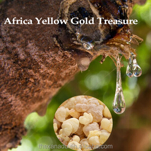 Incenso di Somalia: Resina Pura Selvatica di Olibano (Boswellia Serrata) per Olio Essenziale e Incenso, Erba Importata di Alta Qualità - Product Image 2