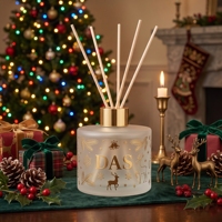 Bouteille diffuseur de parfum personnalisée en gros, 50 ml, vide, en verre dépoli élégant, pour aromathérapie