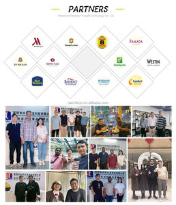 <span class=keywords><strong>Téléphone</strong></span> <span class=keywords><strong>fixe</strong></span> analogique en plastique ABS de haute qualité Sachikoo, économique et intelligent pour hôtel - Product Image 4