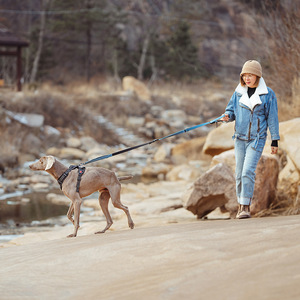 Laisse pour chien réfléchissante, réglable, extensible, anti-explosion, écologique, en nylon solide, à porter à la taille ou en bandoulière - Product Image 6