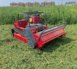 Petite débroussailleuse diesel et tondeuse autoportée avec plateau robuste - Product Image 5