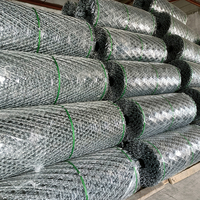 Clôture en grillage concertina soudé pour ferme, directement du fabricant, prix de gros inférieur au prix de détail
