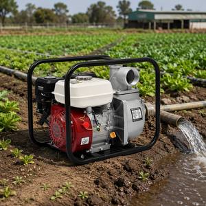 Bomba de Agua de Alta Presión Personalizable OEM de Proveedor Original a Precio Económico para Riego Agrícola - Product Image 2
