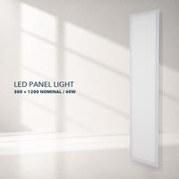 Panneau lumineux LED commercial 300x1200 40W Opale standard pour projets de bureaux