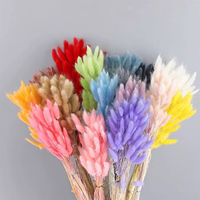 Fleurs décoratives naturelles préservées, couronnes, plantes de roseaux, mini herbe de la pampa, herbe de lapin, accessoires floraux DIY pour la Saint-Valentin