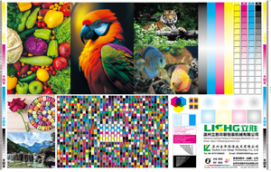 2 4 6 8 Color Flexographic <strong>Flexo</strong> Press Non Woven Flim <strong>Printing</strong> <strong>Machine</strong> Printer - Product Image 6