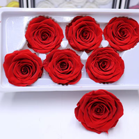 Bunga Mawar Asli Awetan Grade A 5-6cm Grosir untuk Dekorasi DIY Hari Valentine & Natal