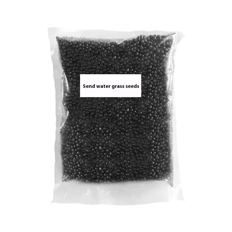 ต้นฉบับ