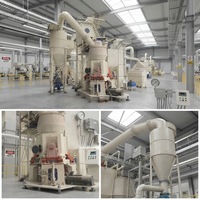 Broyeur vertical à rouleaux pour perlite expansée OEM, contrôle PLC, moteur AC Siemens, capacité 0,5-12 t/h pour la production de poudre micronisée