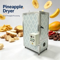 Kleine serie hetelucht-schaaldroger voor vis, fruit, groenten en cocoyam-wortels