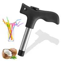 KJHBV 2pcs Coconut Opener Coconut Water Opener Fruit Core Remover Coconuts  Tool Coconuts Opening Stainless Steel Straws Home Tools Opening Tools for