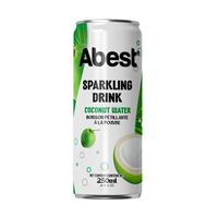 OEM ODM ABEST Boisson pétillante infusée au litchi en canettes de 250 ml, jus de fruits délicieux, rafraîchissant et sans sucre, pour une fraîcheur quotidienne, 24