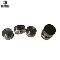 HHWW Pierre Outils De Coupe Polycristallin Forage À Bascule Pdc Cutter Insert Pcd Blancs Pour Foret Rock Tunnel Aléseuse
