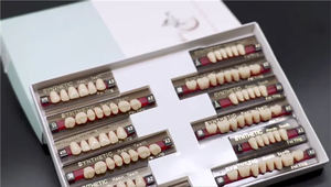 YP 2 couches OEM multicouche <span class=keywords><strong>dentaire</strong></span> acrylique résine dents <span class=keywords><strong>pour</strong></span> prothèses dentaires résine synthétique acrylique dents <span class=keywords><strong>prothèse</strong></span> <span class=keywords><strong>dentaire</strong></span> - Product Image 2