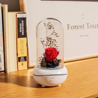 Décoration Petit Parfum Aromatheray Diffuseur avec Batterie Diffuseur d'Huiles Essentielles Humidificateur pour Bureau à Domicile