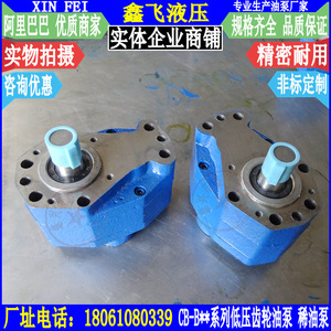 Pompe à huile à engrenages basse pression CB-B en fonte, silencieuse, pour lubrification et transfert d'huile hydraulique - Product Image 3