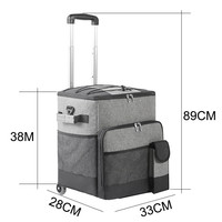 Sac isotherme à roulettes souple isolé étanche avec roues Sac de pique-nique pliable pour plage Camping voyage en plein air