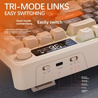 Clavier de jeu sans fil M96 russe, double mode, rétroéclairage RVB, touches PBT, USB Type-C, mécanique, pour ordinateur portable, produit d'occasion, plastique