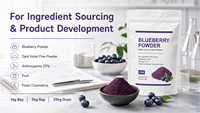 Bubuk Blueberry Alami Murni Vaccinium Myrtillus L. Anthocyanin 25% Bubuk Buah Kering Semprot Kelas Makanan & Kosmetik 1kg/5kg Kemasan