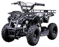 Mini moto à essence 49cc 2 temps, quad tout-terrain pour enfants, très vendu, avec système de transmission par chaîne