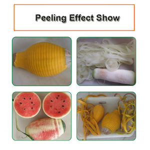 آلة تقشير أوتوماتيكية للبابايا والمانجو والأناناس واليقطين، آلة تقشير الفواكه الكبيرة، آلة تقشير اليقطين - Product Image 5