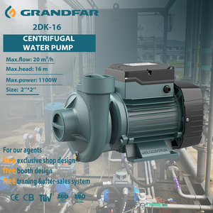 Pompe centrifuge en fonte haute performance GRANDFAR 1100W, 16m de hauteur de refoulement, 20m³/h, 2DK-16, offre jusqu'à 16 mètres de hauteur de refoulement - Product Image 1
