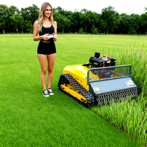 Cortadora de Césped Remota Barata con Envío Gratuito, Cortadora de Césped con Control Remoto de 550 mm con Certificación CE y EPA - Product Image 3