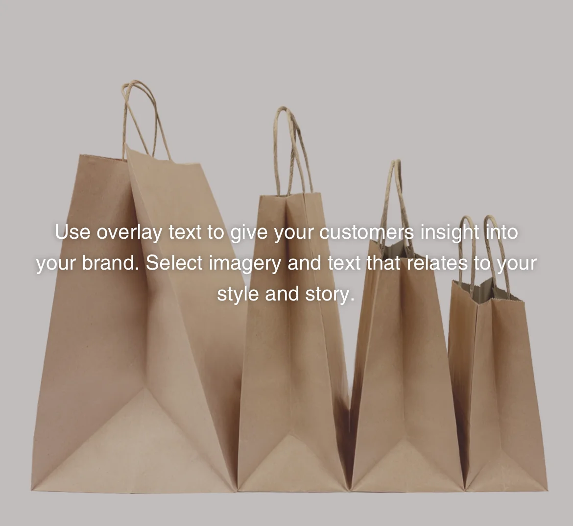 Grey Paper Bags with Twisted Handles 14x10<i></i>x15.75 inches